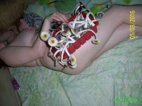 100_4390.JPG