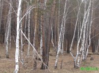 IMG_0760.JPG