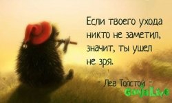 getImage (31).jpg