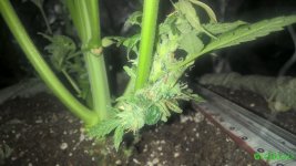 WP_20160510_17_40_34_Pro.jpg