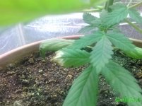 IMG_20160512_234839.jpg
