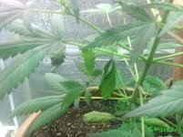 IMG_20160512_234818.jpg