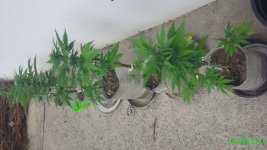 20160515_123448.jpg