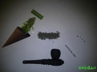 20160423_213403.jpg