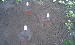 IMAG0207.jpg