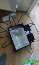IMG_20160516_203245.jpg