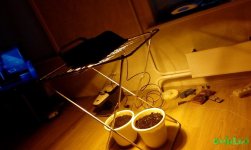 IMG_20160516_203916.jpg