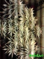 20160517_175616.jpg