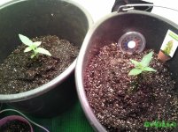 20160517_183055.jpg