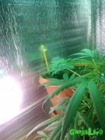 IMG_20160518_024052.jpg