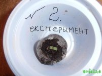 експеримент2.jpg