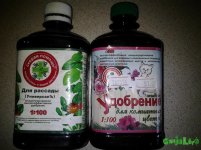 20160520_124132.jpg