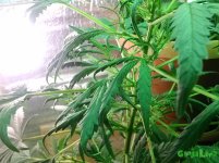 IMG_20160521_003444.jpg