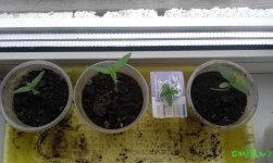 20160521_155020.jpg