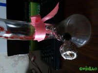 20160521_1706491.jpg
