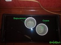 IMG_20160520_131538.jpg