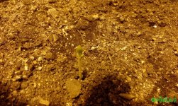 IMG_20160523_2130011.jpg