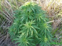 женькаа моя).jpg