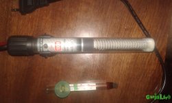 20160528_143820.jpg