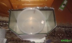 20160528_173313.jpg