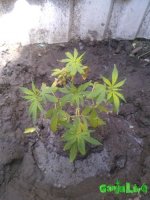 WP_000623.jpg