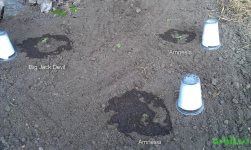 IMAG0440.jpg