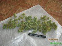 IMG_0640.JPG