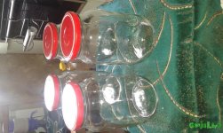 20160602_171517.jpg