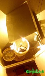 IMG_20160602_210736.jpg