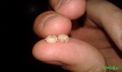 20160602_214447.jpg
