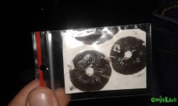 20160604_150010.jpg
