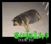 images.jpg