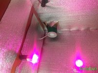 P_20160605_1154441.jpg