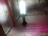 P_20160605_1154381.jpg