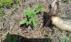 20160605_133602.jpg