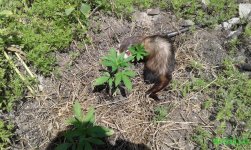 20160605_133535.jpg