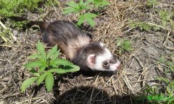 20160605_133617.jpg