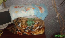 20160606_211427.jpg