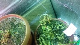 IMG_20160610_020445.jpg