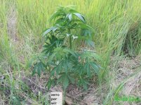 автик в.р.jpg