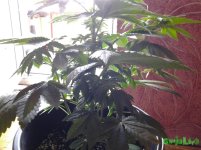 20160607_114941.jpg