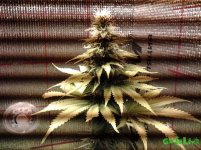 20160607_114707.jpg