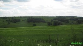 IMG_0817.JPG