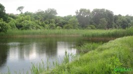 IMG_0806.JPG