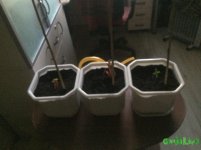 IMG_3592.jpg IMG_3592.jpg