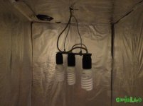 IMG_3643.jpg IMG_3643.jpg