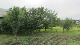 IMG_0835.JPG