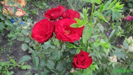 IMG_0840.JPG
