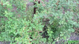IMG_0842.JPG