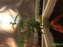 IMG_3879.jpg IMG_3879.jpg